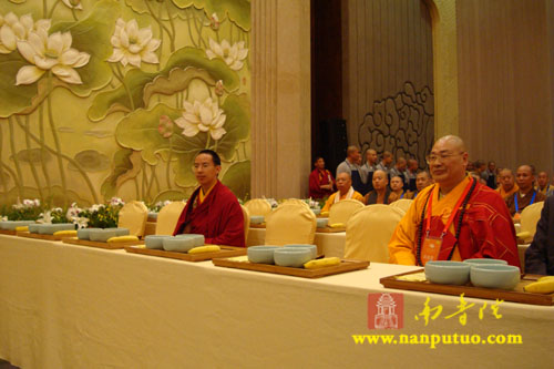第二次世界佛教论坛在无锡灵山梵宫隆重开幕(图5)