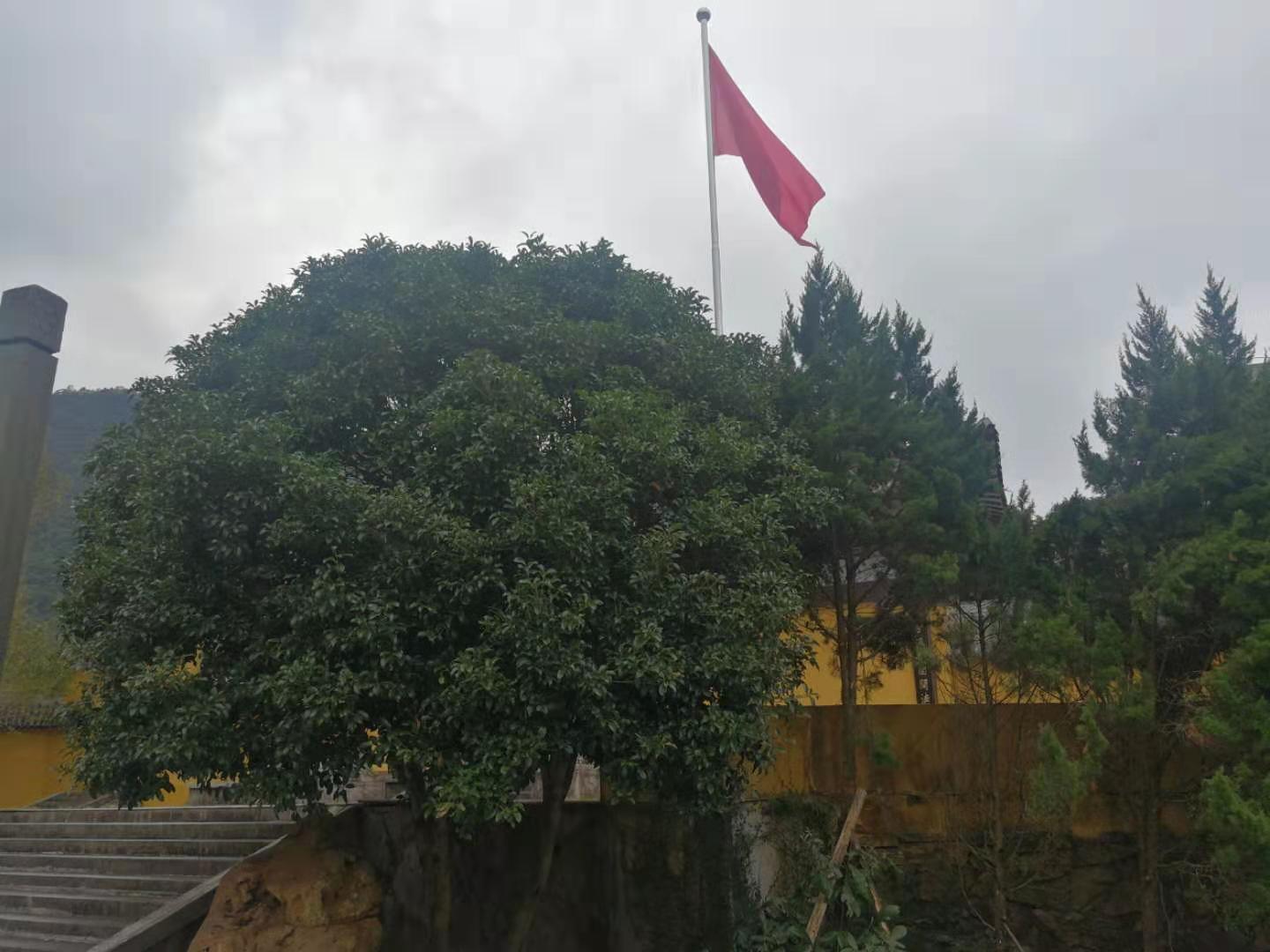 温州雁荡山能仁寺举行升国旗仪式(图9)