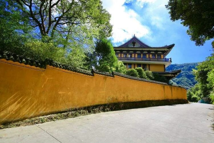 乐清市委书记徐建兵一行到雁荡山能仁寺调研(图4) 图片